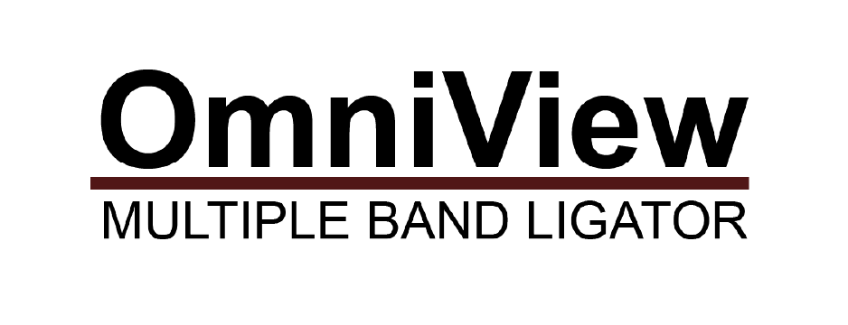 tamaño de logos web-04